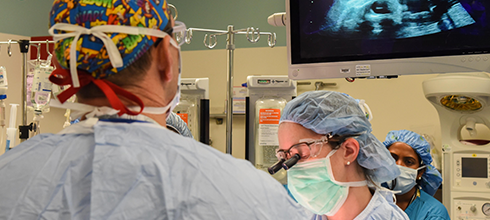 Physicians performing in-utero surgery for spina bifida